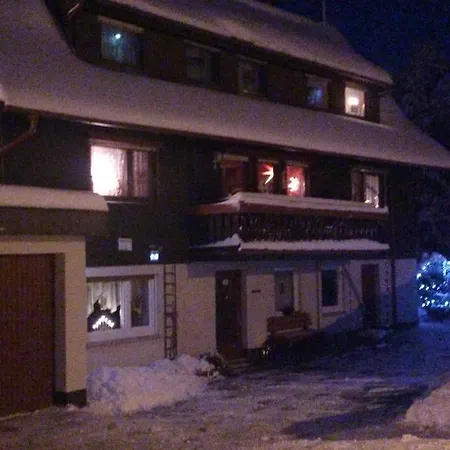 Apartment Ferienwohnung Im Wiesenweg Lossburg
