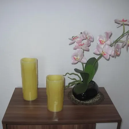 Apartment Ferienwohnung Im Wiesenweg Lossburg