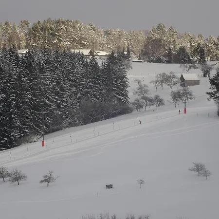 Apartment Ferienwohnung Im Wiesenweg
